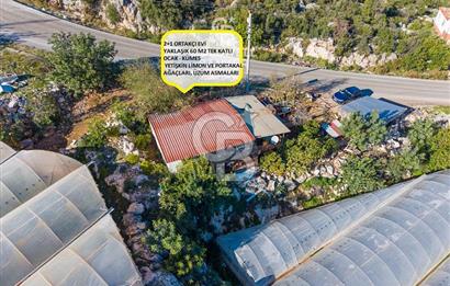 ANTALYA DEMRE KAPAKLI 2 ADET MÜSTAKİL PARSEL SERA VE ORTAKÇI EVİ