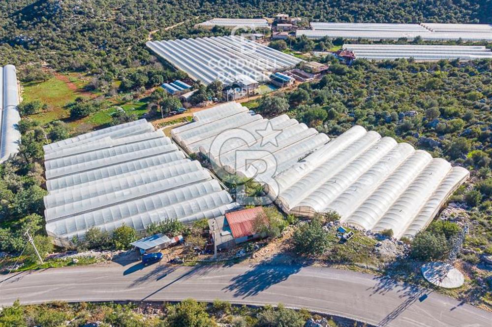 ANTALYA DEMRE KAPAKLI 2 ADET MÜSTAKİL PARSEL SERA VE ORTAKÇI EVİ