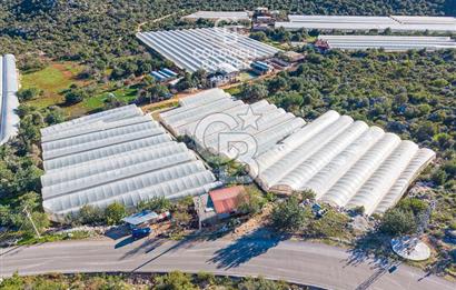 ANTALYA DEMRE KAPAKLI 2 ADET MÜSTAKİL PARSEL SERA VE ORTAKÇI EVİ