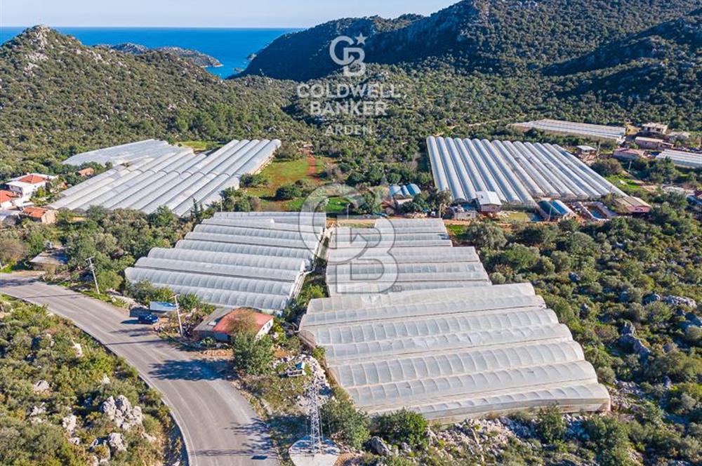ANTALYA DEMRE KAPAKLI 2 ADET MÜSTAKİL PARSEL SERA VE ORTAKÇI EVİ