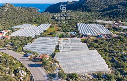 ANTALYA DEMRE KAPAKLI 2 ADET MÜSTAKİL PARSEL SERA VE ORTAKÇI EVİ