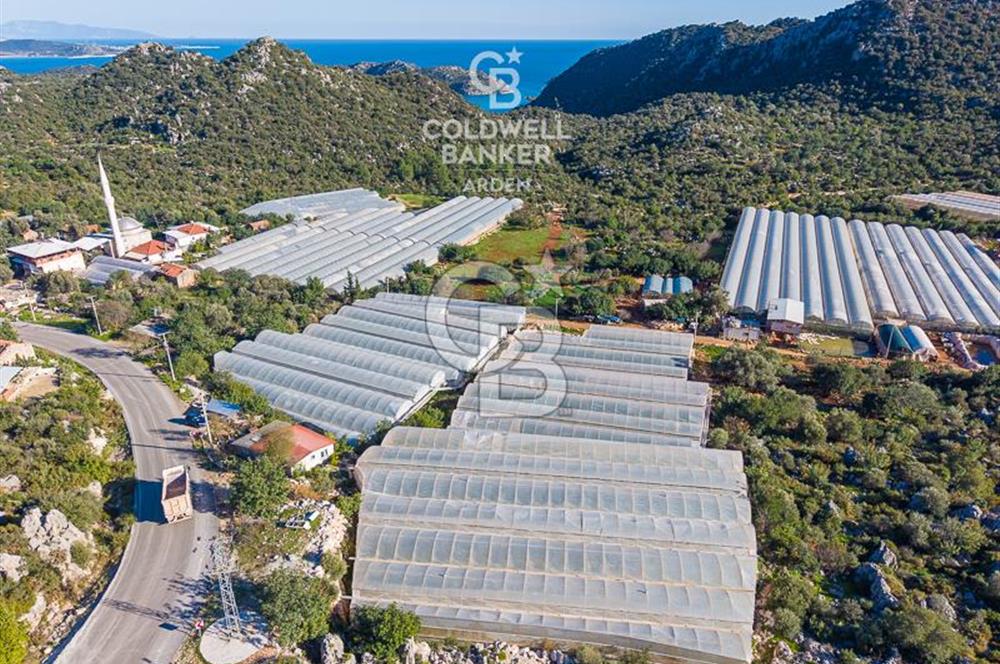 ANTALYA DEMRE KAPAKLI 2 ADET MÜSTAKİL PARSEL SERA VE ORTAKÇI EVİ
