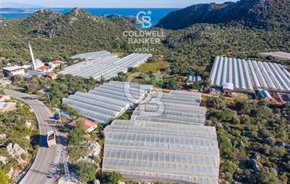 ANTALYA DEMRE KAPAKLI 2 ADET MÜSTAKİL PARSEL SERA VE ORTAKÇI EVİ