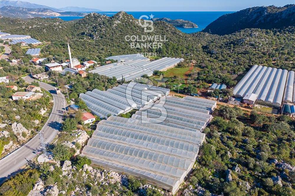 ANTALYA DEMRE KAPAKLI 2 ADET MÜSTAKİL PARSEL SERA VE ORTAKÇI EVİ