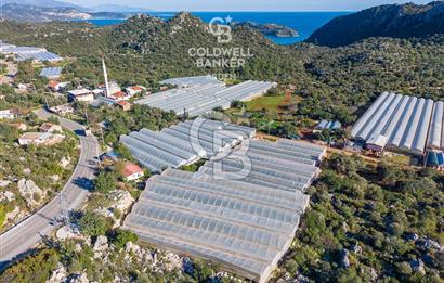 ANTALYA DEMRE KAPAKLI 2 ADET MÜSTAKİL PARSEL SERA VE ORTAKÇI EVİ
