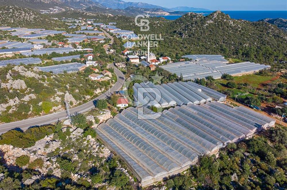 ANTALYA DEMRE KAPAKLI 2 ADET MÜSTAKİL PARSEL SERA VE ORTAKÇI EVİ