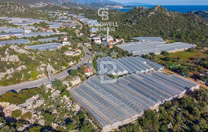 ANTALYA DEMRE KAPAKLI 2 ADET MÜSTAKİL PARSEL SERA VE ORTAKÇI EVİ