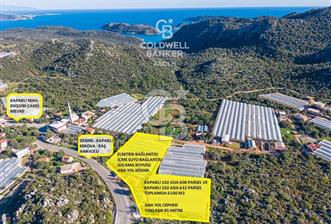 ANTALYA DEMRE KAPAKLI 2 ADET MÜSTAKİL PARSEL SERA VE ORTAKÇI EVİ - 3 - 346959