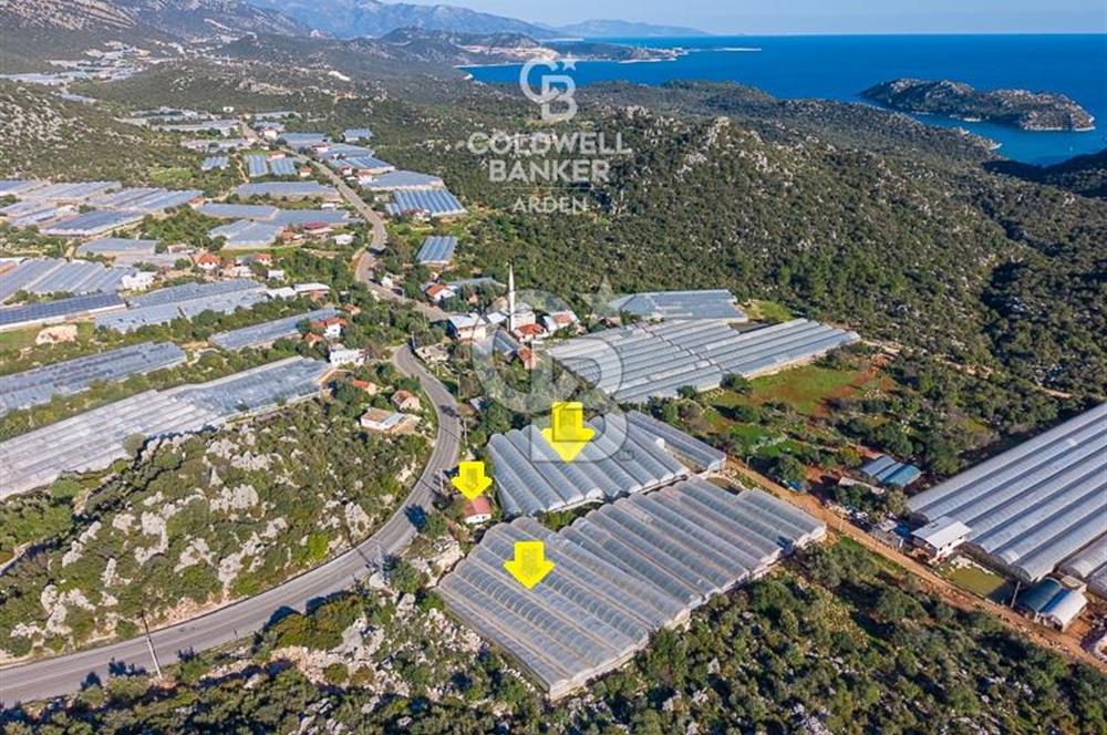 ANTALYA DEMRE KAPAKLI 2 ADET MÜSTAKİL PARSEL SERA VE ORTAKÇI EVİ