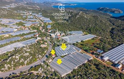 ANTALYA DEMRE KAPAKLI 2 ADET MÜSTAKİL PARSEL SERA VE ORTAKÇI EVİ