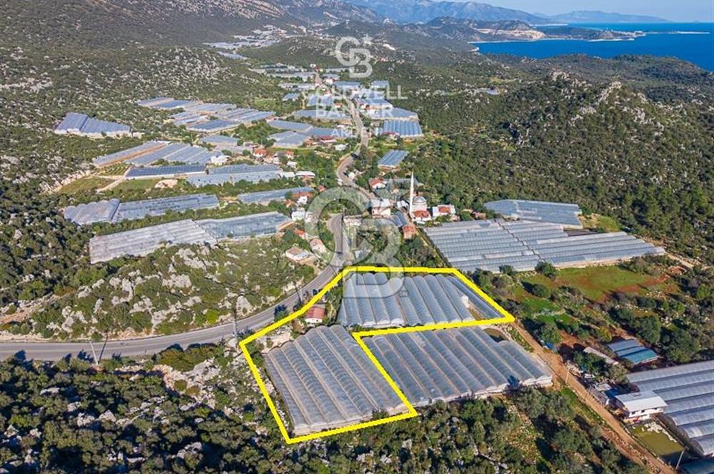 ANTALYA DEMRE KAPAKLI 2 ADET MÜSTAKİL PARSEL SERA VE ORTAKÇI EVİ