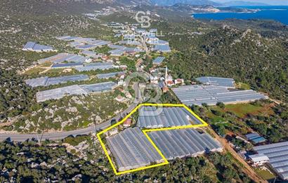 ANTALYA DEMRE KAPAKLI 2 ADET MÜSTAKİL PARSEL SERA VE ORTAKÇI EVİ