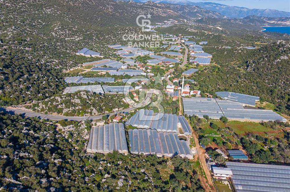 ANTALYA DEMRE KAPAKLI 2 ADET MÜSTAKİL PARSEL SERA VE ORTAKÇI EVİ