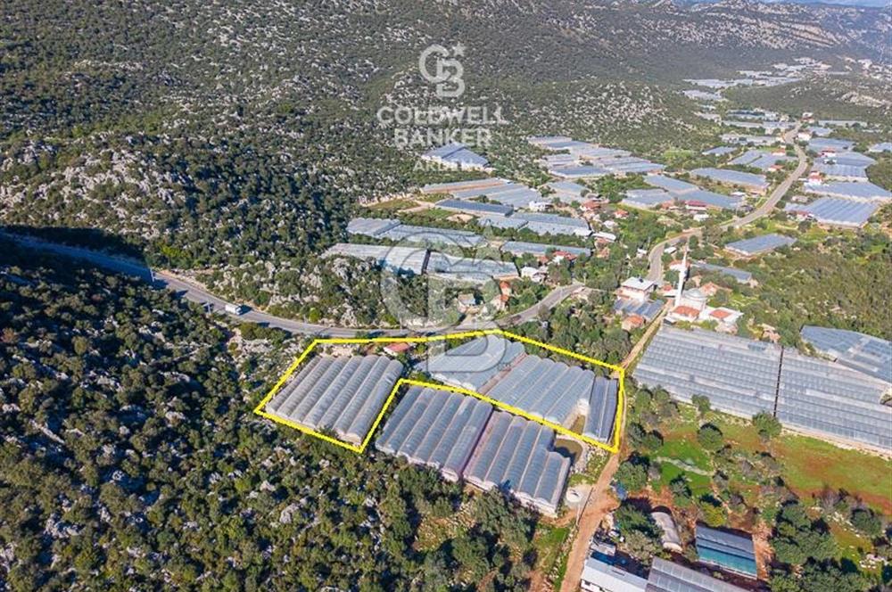 ANTALYA DEMRE KAPAKLI 2 ADET MÜSTAKİL PARSEL SERA VE ORTAKÇI EVİ
