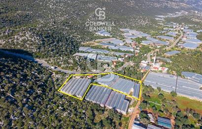 ANTALYA DEMRE KAPAKLI 2 ADET MÜSTAKİL PARSEL SERA VE ORTAKÇI EVİ