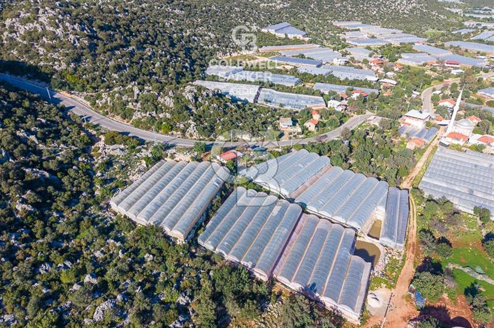 ANTALYA DEMRE KAPAKLI 2 ADET MÜSTAKİL PARSEL SERA VE ORTAKÇI EVİ