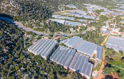 ANTALYA DEMRE KAPAKLI 2 ADET MÜSTAKİL PARSEL SERA VE ORTAKÇI EVİ