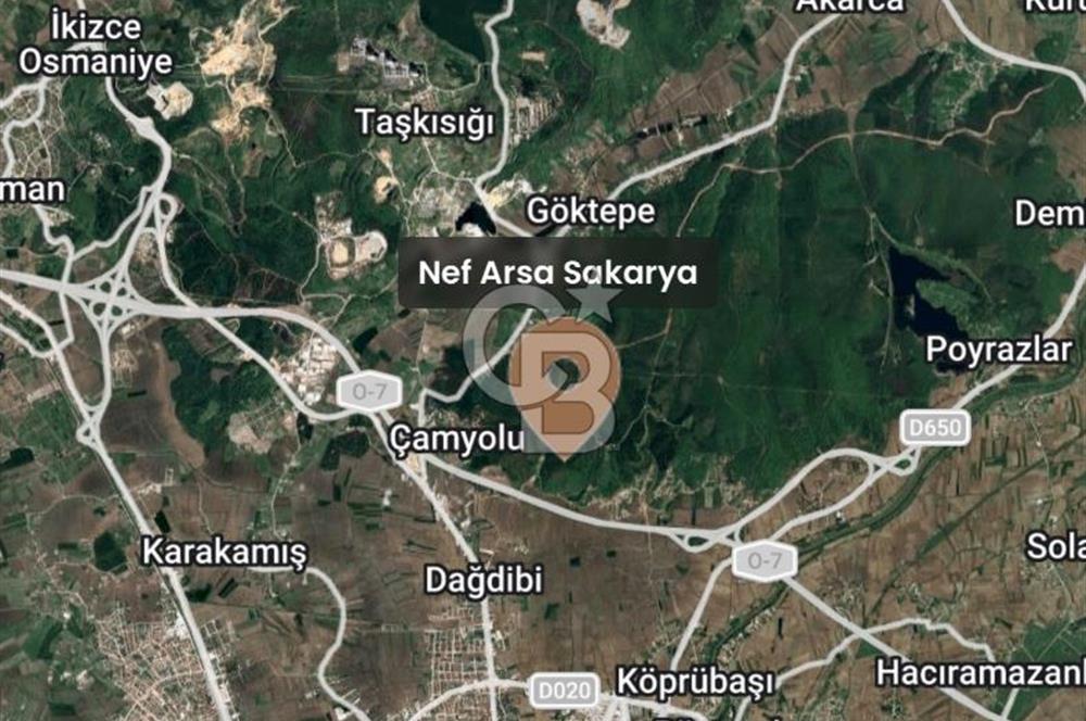 Sakarya’da Tapulu, Kira Garantili Arsa Yatırımı – NOVU