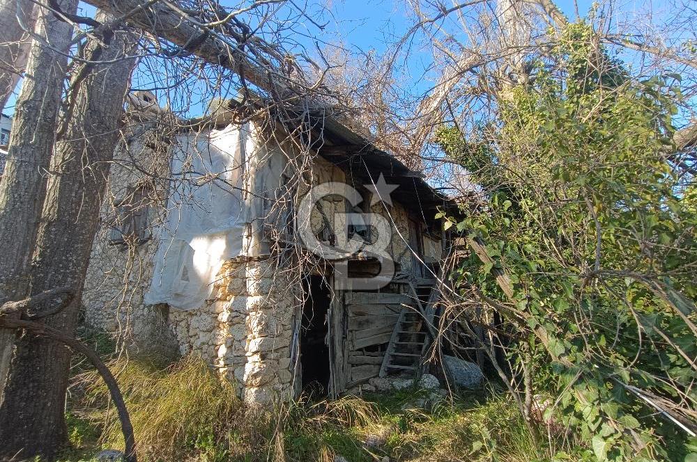 CB ARDEN'DEN ANTALYA KAŞ PINARBAŞI SATILIK MÜSTAKİL 3 ADET ARSA