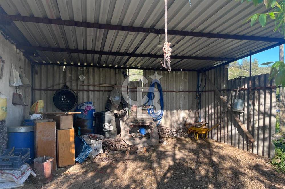 MENDERES ÇATALCA’DA YOLA CEPHELİ 10 DÖNÜM FIRSAT TARLA