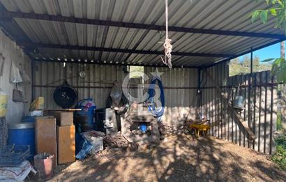 MENDERES ÇATALCA’DA YOLA CEPHELİ 10 DÖNÜM FIRSAT TARLA