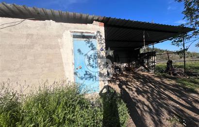 MENDERES ÇATALCA’DA YOLA CEPHELİ 10 DÖNÜM FIRSAT TARLA