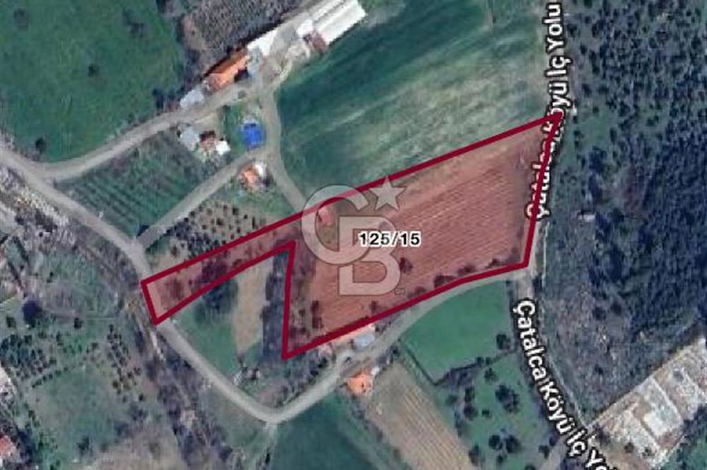 MENDERES ÇATALCA’DA YOLA CEPHELİ 10 DÖNÜM FIRSAT TARLA