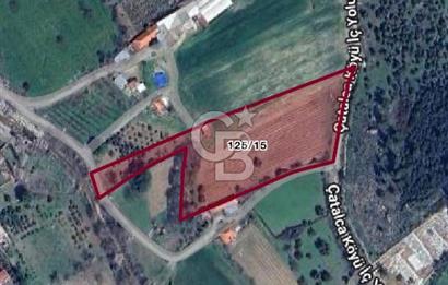 MENDERES ÇATALCA’DA YOLA CEPHELİ 10 DÖNÜM FIRSAT TARLA