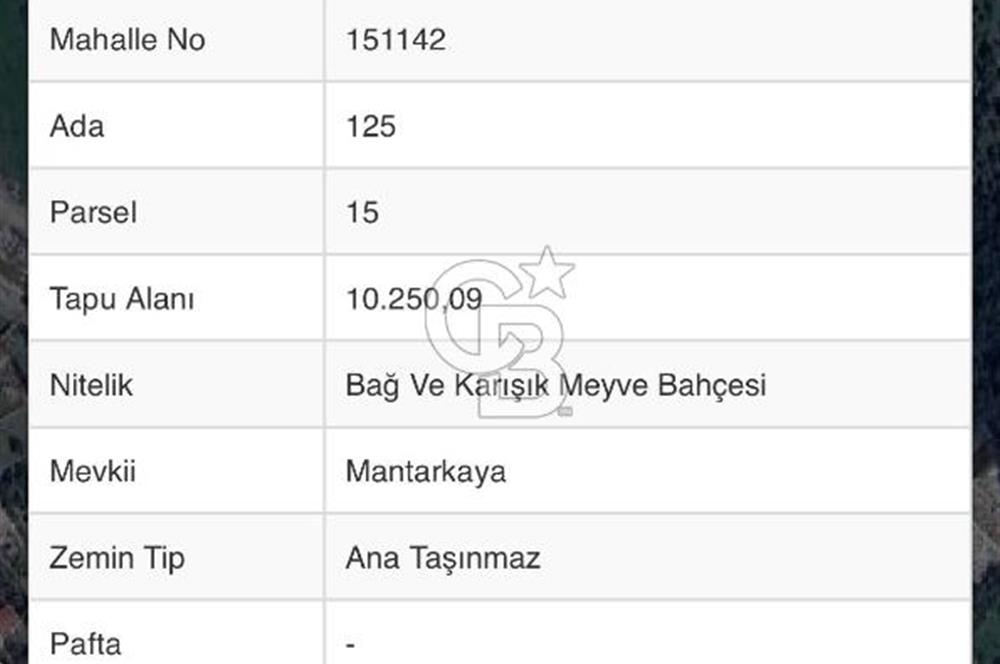 MENDERES ÇATALCA’DA YOLA CEPHELİ 10 DÖNÜM FIRSAT TARLA