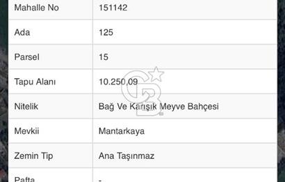 MENDERES ÇATALCA’DA YOLA CEPHELİ 10 DÖNÜM FIRSAT TARLA