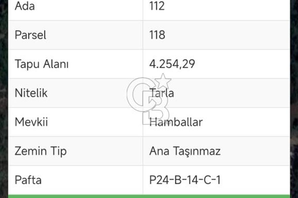 KUMLUCA YAZIRDA DOĞAYLA İÇ İÇE SATILIK YATIRIM FIRSATI