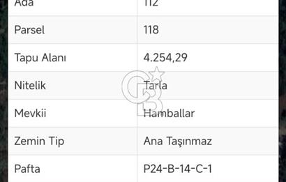KUMLUCA YAZIRDA DOĞAYLA İÇ İÇE SATILIK YATIRIM FIRSATI