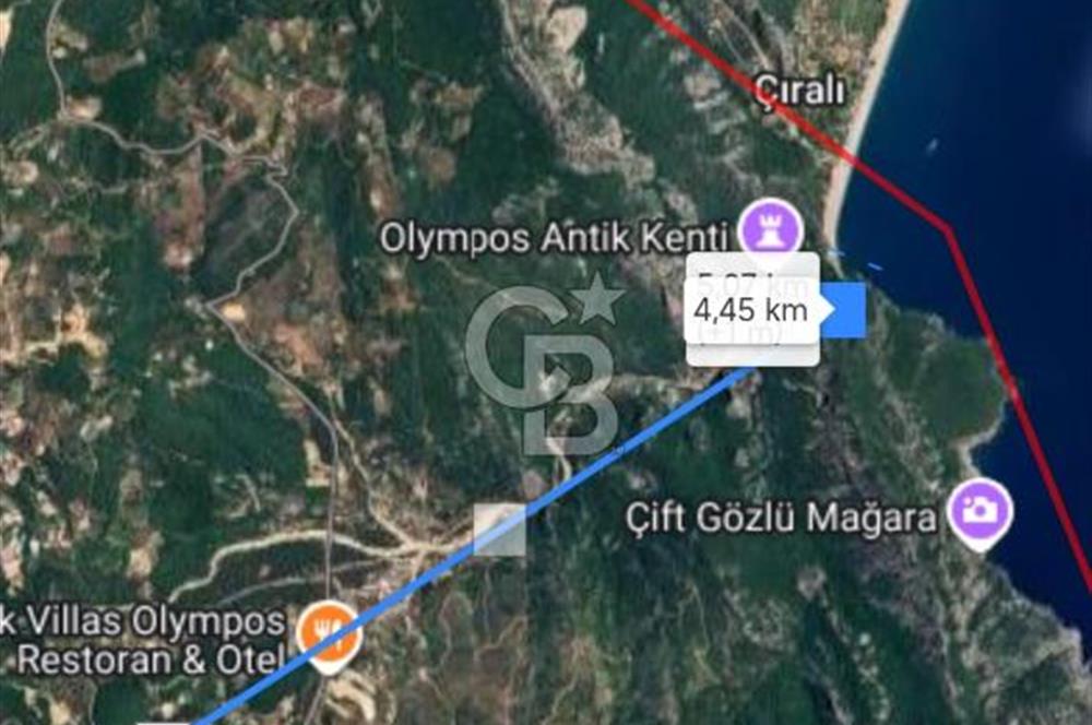 KUMLUCA YAZIRDA DOĞAYLA İÇ İÇE SATILIK YATIRIM FIRSATI