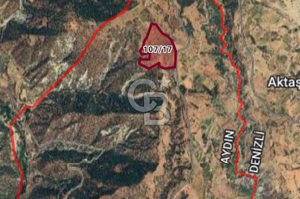 Buharkent Muratdağı Mah. 84.953 M² Satılık Tarla