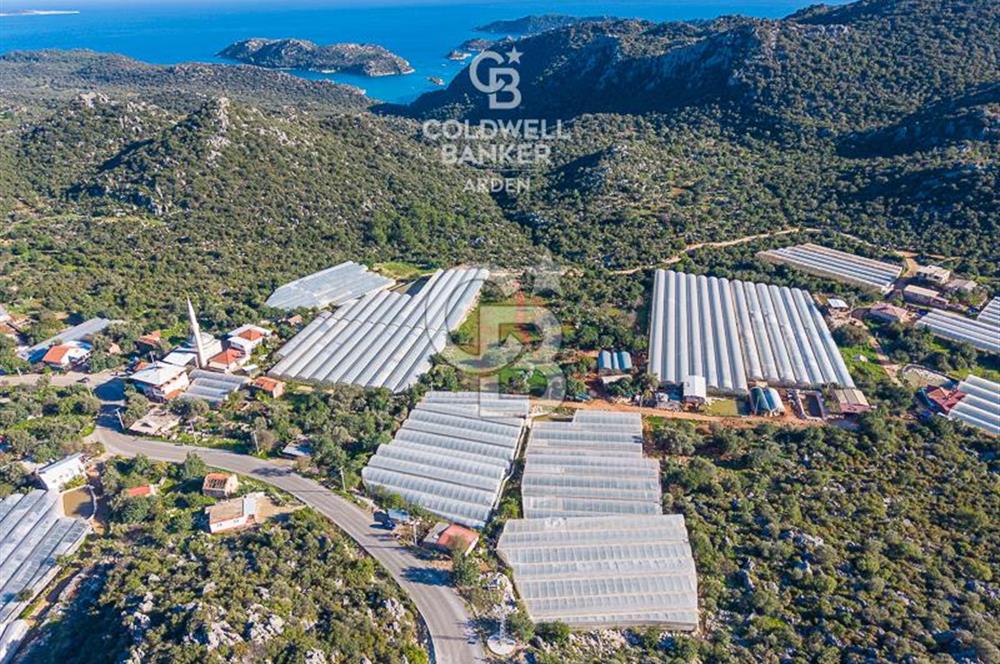 ANTALYA DEMRE KAPAKLI 2 ADET MÜSTAKİL PARSEL SERA VE ORTAKÇI EVİ