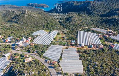 ANTALYA DEMRE KAPAKLI 2 ADET MÜSTAKİL PARSEL SERA VE ORTAKÇI EVİ
