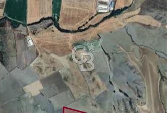 Haymana Kadıköyde Tek Tapu 17.600 m2 Fırsat Satılık Tarla - 10 - 346988