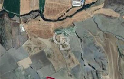Haymana Kadıköyde Tek Tapu 17.600 m2 Fırsat Satılık Tarla
