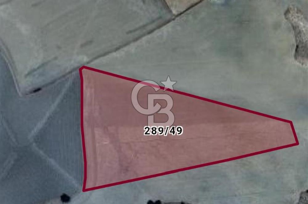 Haymana Kadıköyde Tek Tapu 17.600 m2 Fırsat Satılık Tarla