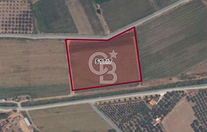 C.B.ROUTE | DİKİLİ SALİHLERALTI MAH. ANAYOLA CEPHELİ YATIRIMLIK TARLA