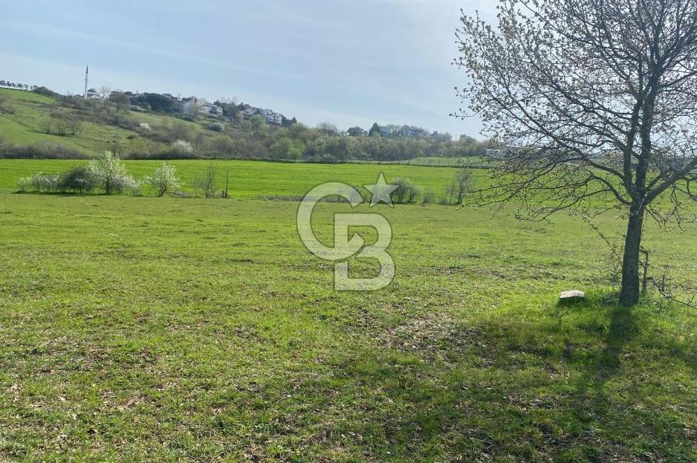 YALOVA MERKEZ KADIKÖYDE YATIRIM DEĞERİ YÜKSEK TARLA