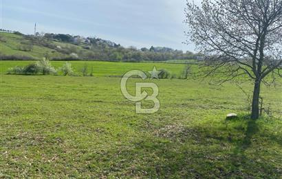 YALOVA MERKEZ KADIKÖYDE YATIRIM DEĞERİ YÜKSEK TARLA