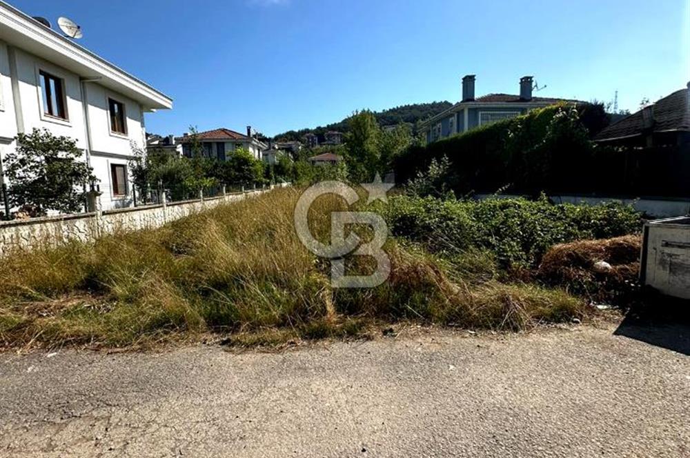 Şile Çavuş'ta 0.45 Villa İmarlı Satılık Müstakil Arsa