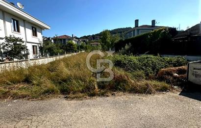 Şile Çavuş'ta 0.45 Villa İmarlı Satılık Müstakil Arsa