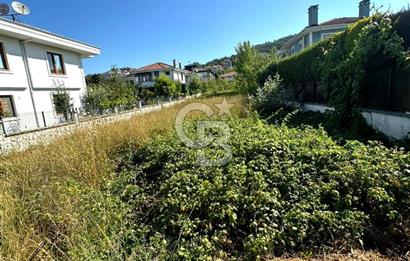 Şile Çavuş'ta 0.45 Villa İmarlı Satılık Müstakil Arsa