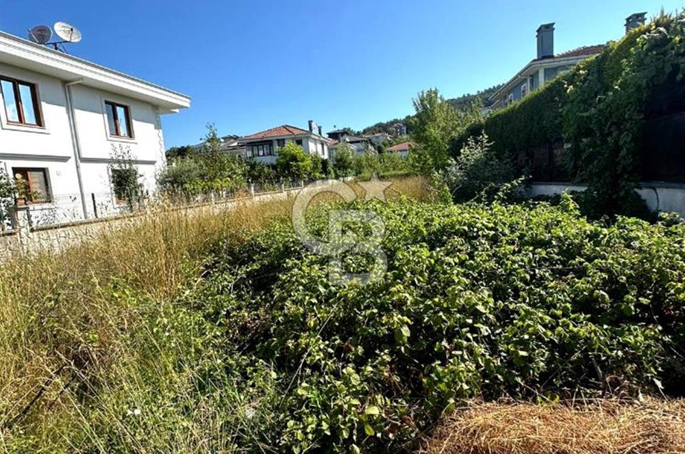 Şile Çavuş'ta 0.45 Villa İmarlı Satılık Müstakil Arsa