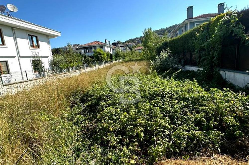 Şile Çavuş'ta 0.45 Villa İmarlı Satılık Müstakil Arsa