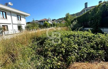 Şile Çavuş'ta 0.45 Villa İmarlı Satılık Müstakil Arsa