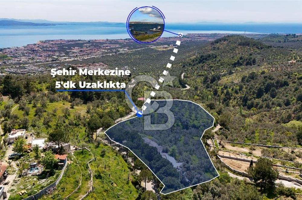 CB Leader'den Güre Çamlıbel Mh.'de Devren Kiralık Restoran