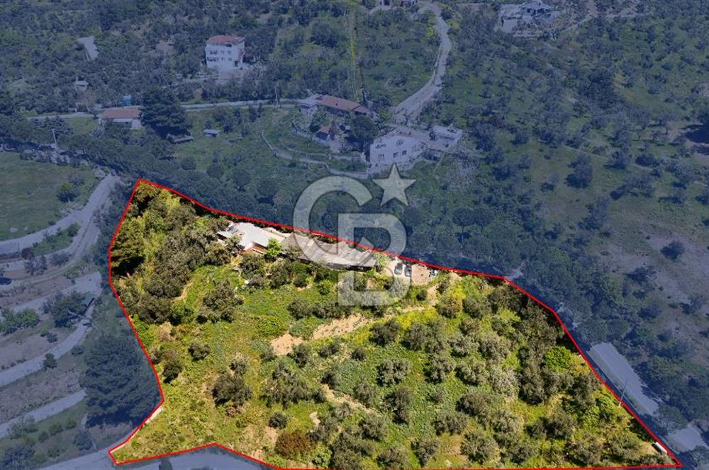 CB Leader'den Güre Çamlıbel Mh.'de Devren Kiralık Restoran
